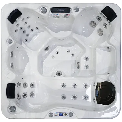 Avalon EC-849L hot tubs for sale in Sioux Falls