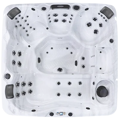 Avalon EC-867L hot tubs for sale in Sioux Falls